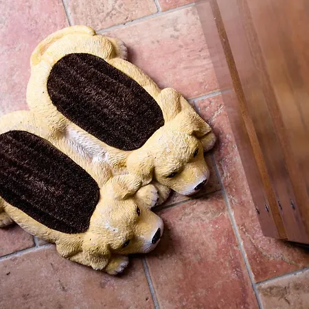 Gospodarstwo agroturystyczne Tenuta Podere Montauzzo Montemassi